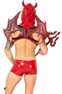 2pc Lucifers Desire Devil -Coquettes Lingerie Store 2pc Lucifers Desire Devil Devil Costumes Roma Costumes SEXYSHOES COM 2