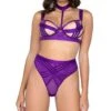 Bondage Stripe 2-Piece Choker Set -Coquettes Lingerie Store Bondage Stripe 2 Piece Choker Set Lingerie Sets Roma Confidential Purple SEXYSHOES COM