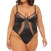 Plus Size Underwire Teddy With Sheer & Satin Illusion Detail