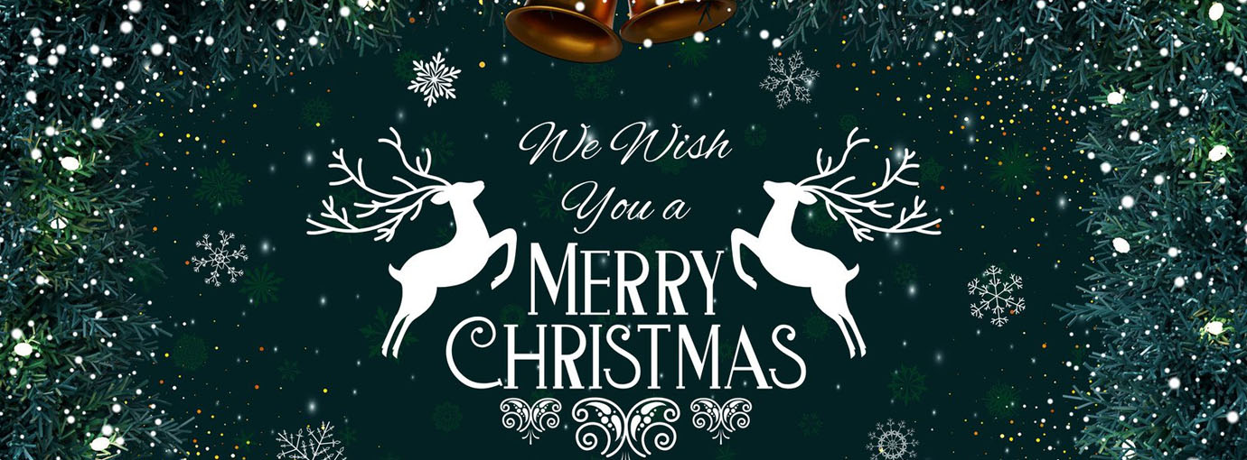 Coquettes Lingerie Store -Coquettes Lingerie Store 3